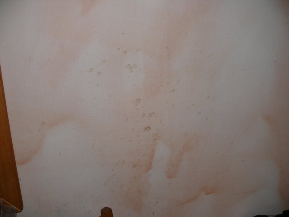 Unerklärliche Flecken an den Wänden. Camping- und Ferienpark Markgrafenheide