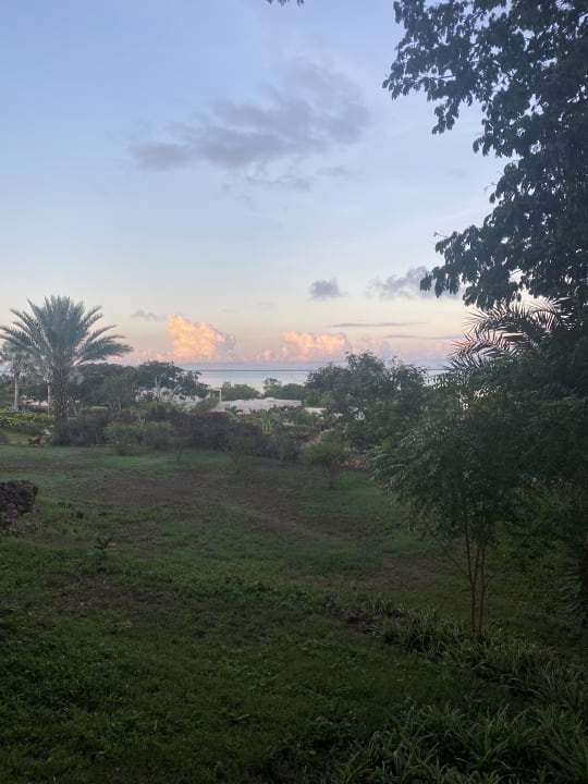Gartenanlage Hotel Riu Palace Zanzibar