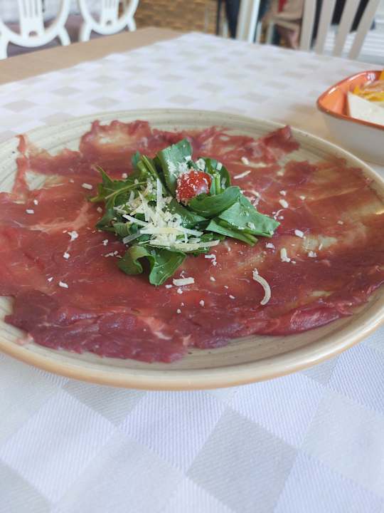 Gastro Seashell Vega