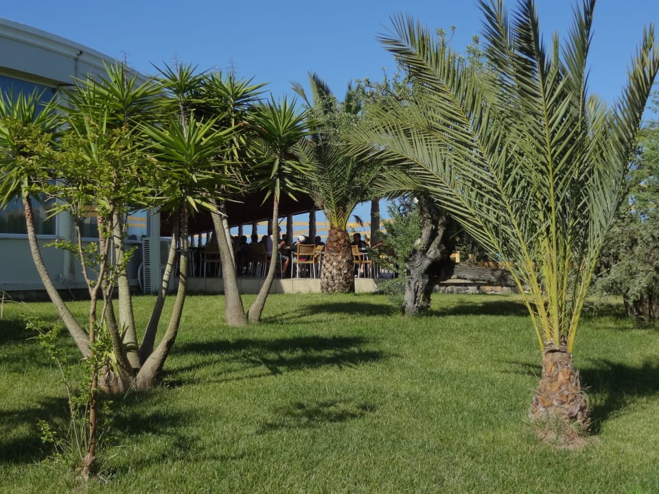 Außenterrasse Sandy Beach Resort