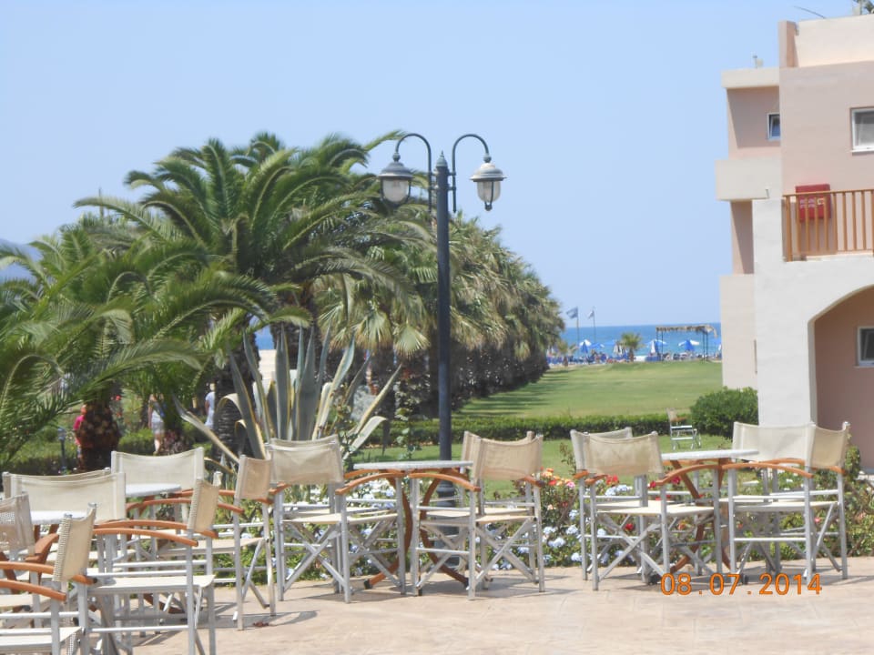 Blick von der Terrasse zum Strand Delfina Tropic Beach