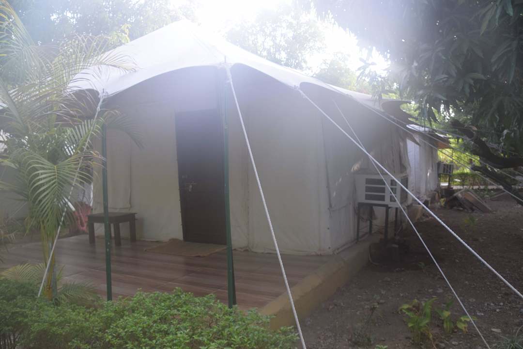 Zelt mit Terrasse Hotel Lion Safari Camp