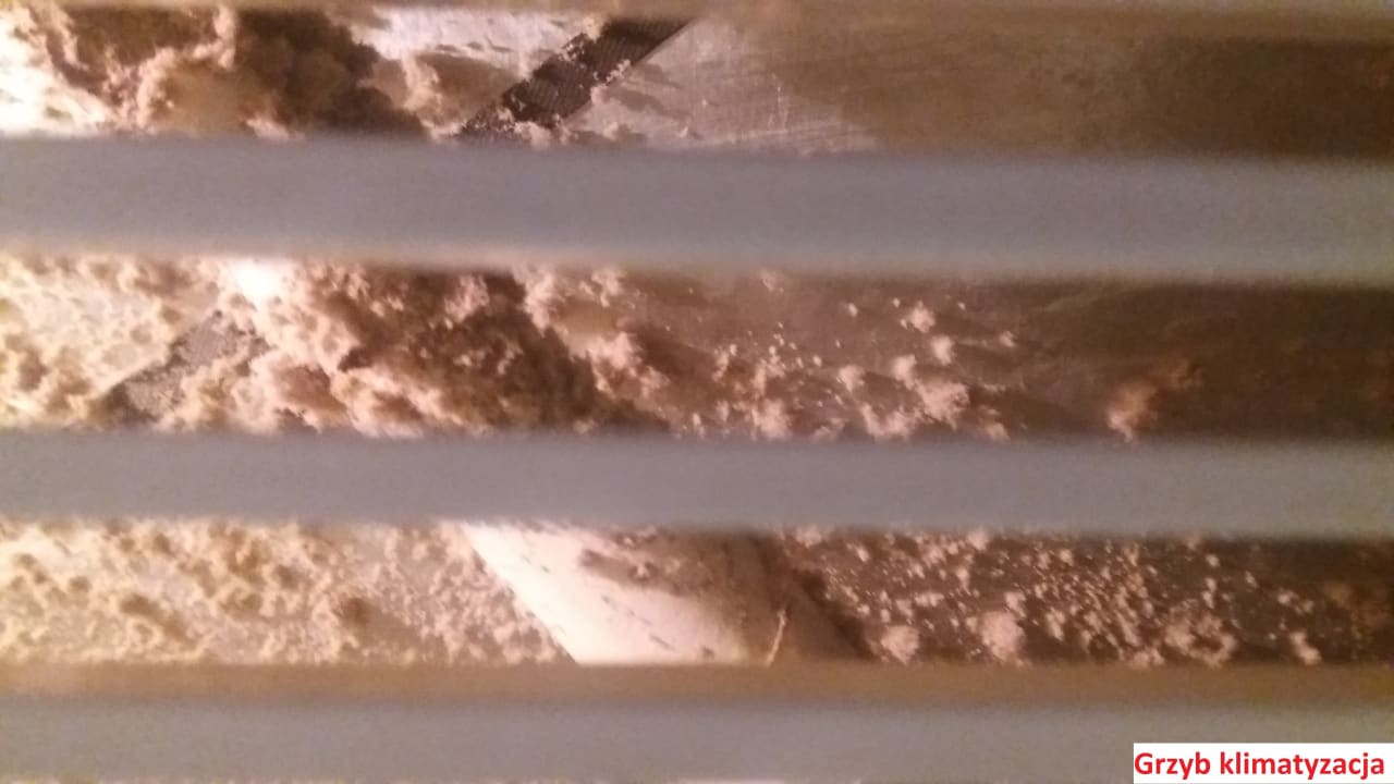 Zimmer Titanic Beach Spa & Aqua Park