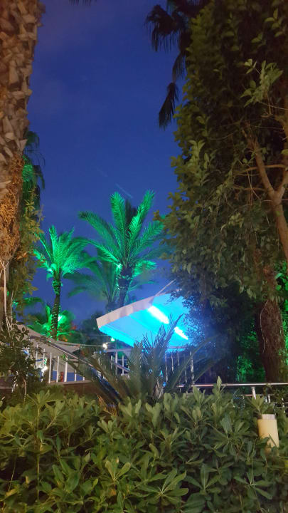 Gartenanlage Hane Family Resort