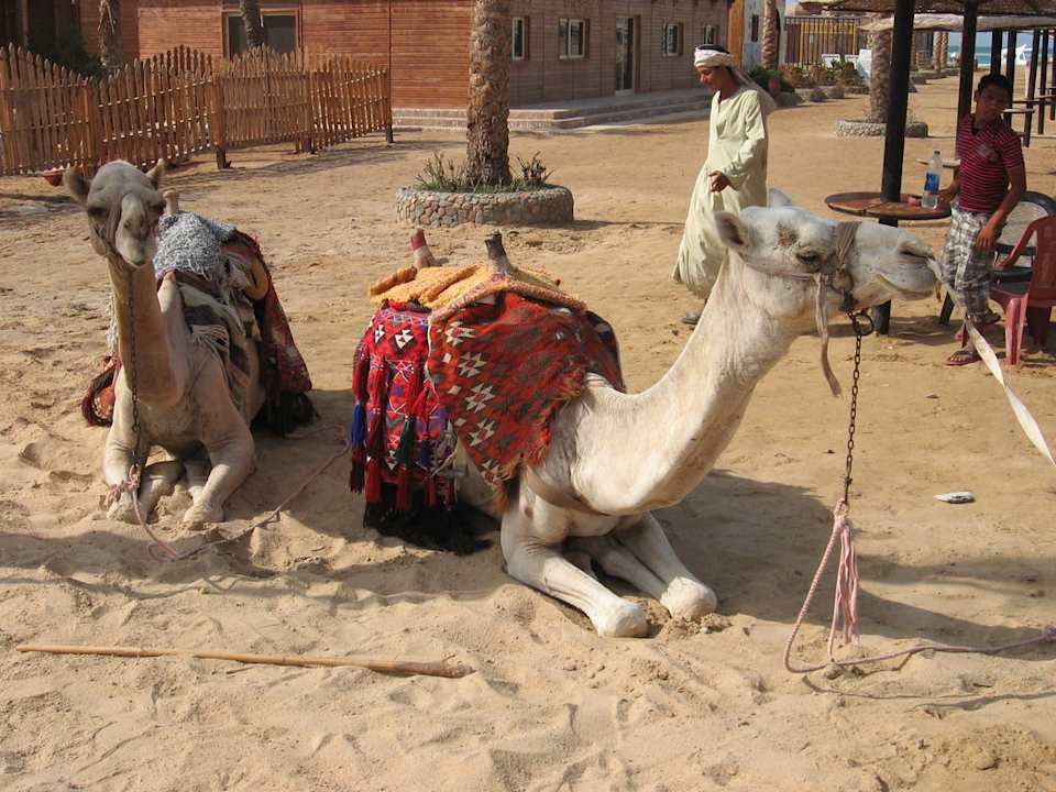 Nadja und Oscar Riviera Aqua Park Resort