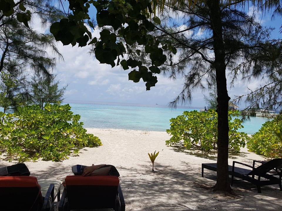 Strand Summer Island Maldives