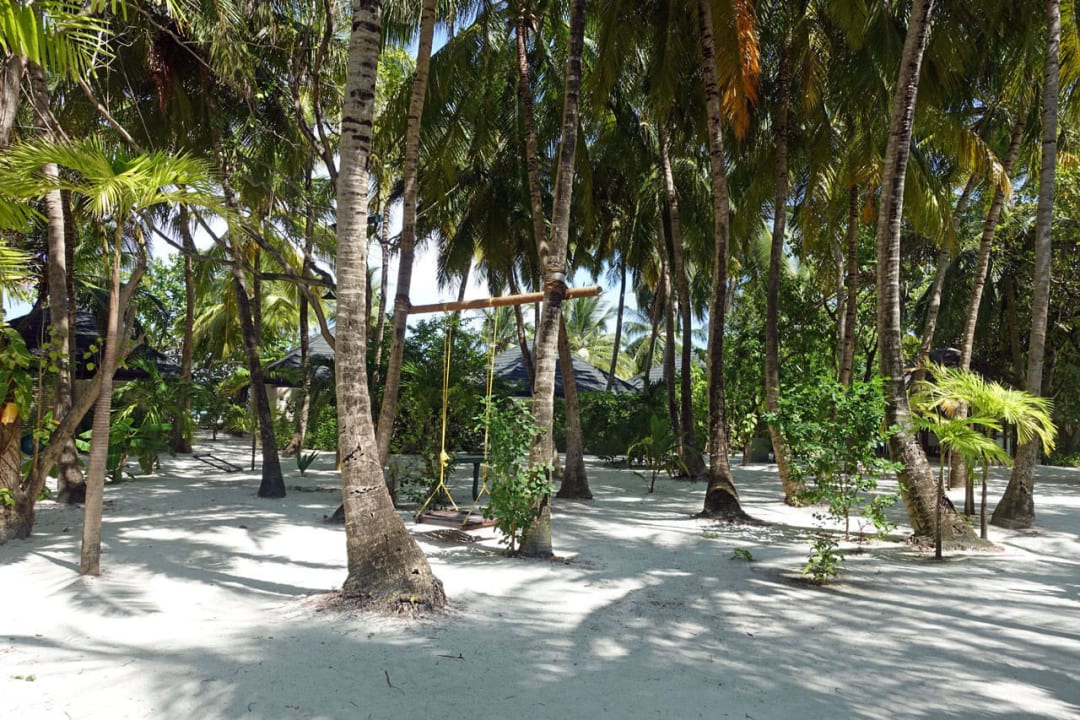 Viele Schaukeln hängen im Garten Summer Island Maldives