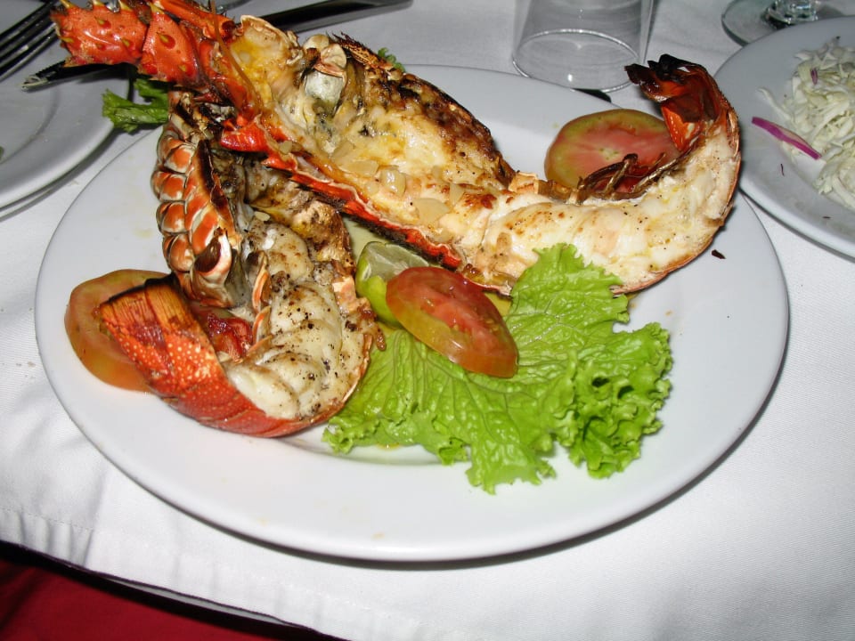 Lobster Summer Island Maldives