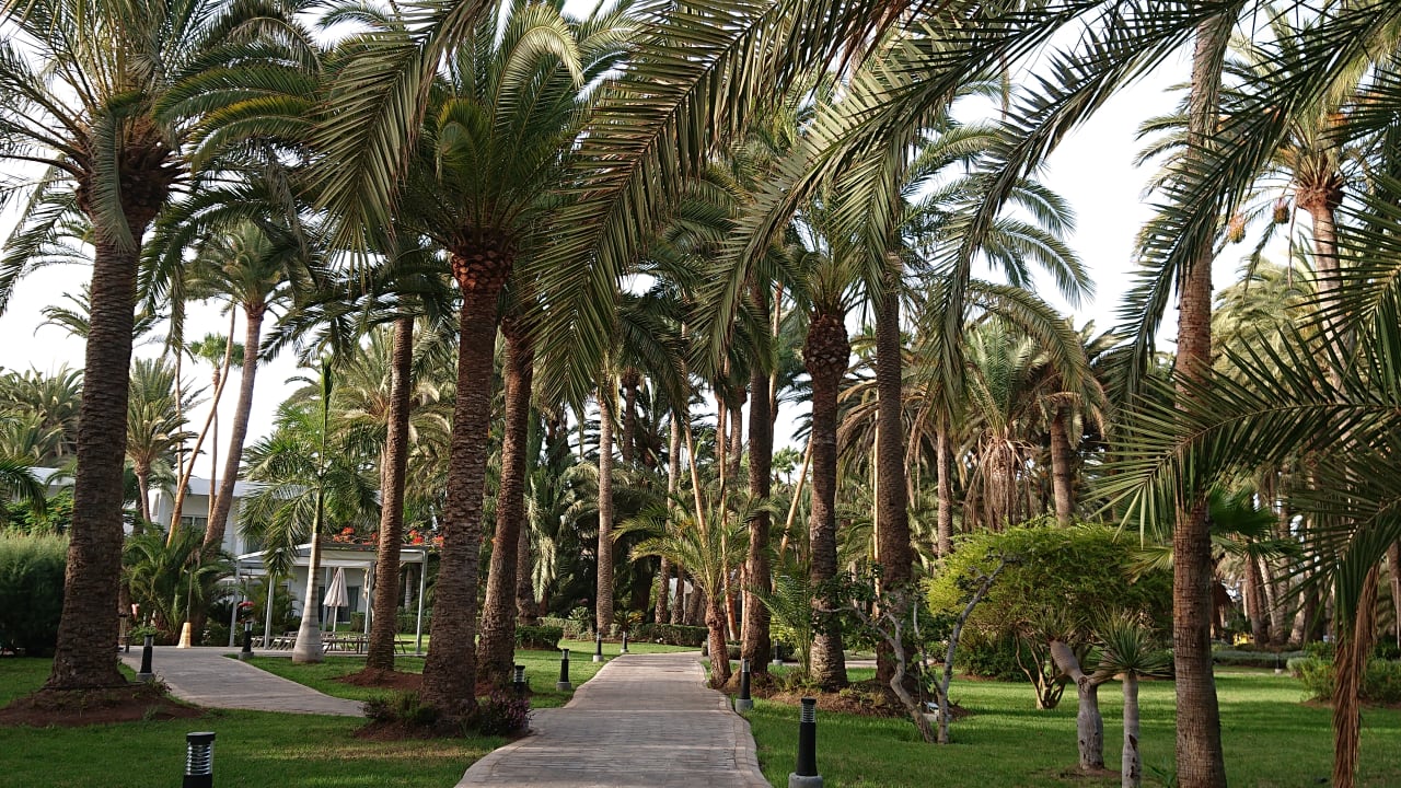 Gartenanlage Hotel Riu Palace Oasis