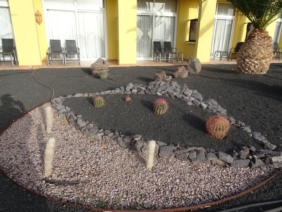 Garten Occidental Jandía Royal Level - Adults only