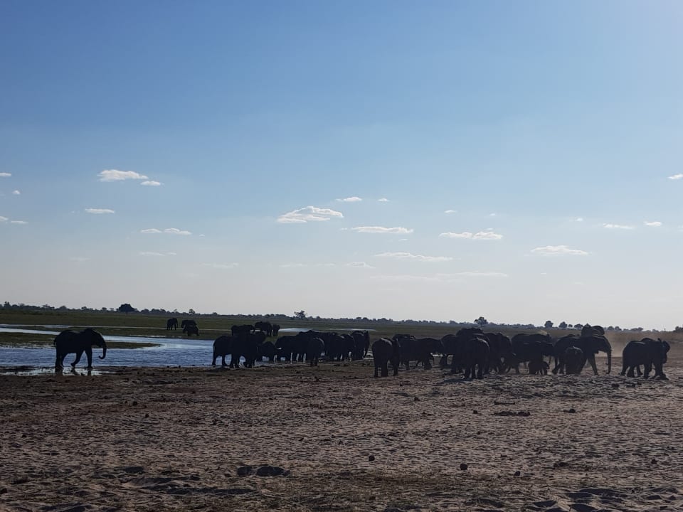 Sport & Freizeit Hotel Ndhovu Safari Lodge