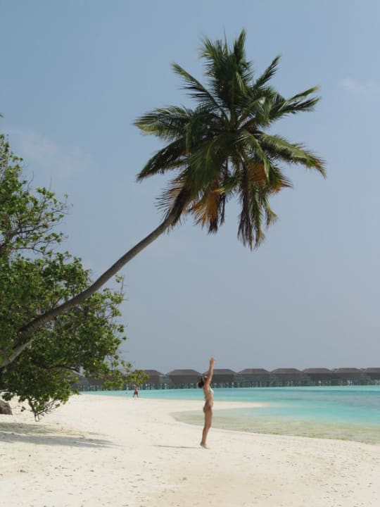 Paradisisch Meeru Maldives Resort Island