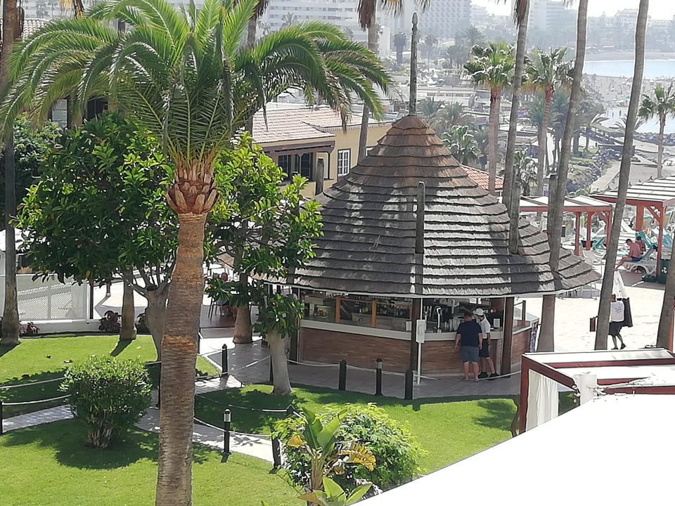 Ausblick Iberostar Waves Bouganville Playa