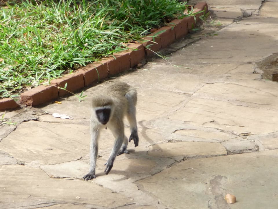 Affe Baobab Beach Resort & Spa