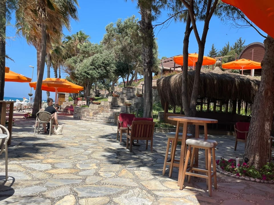 Gastro Arum Barut Collection