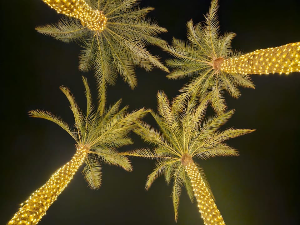 Gartenanlage Cleopatra Luxury Resort Makadi Bay