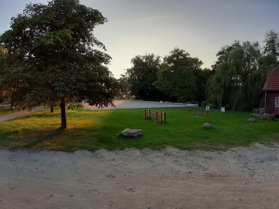 Ausblick Ferien & Pferdehof Gut Klein Nienhagen