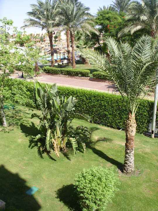 Ausblick vom Balkon Pickalbatros Palace Resort