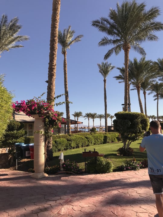 Gartenanlage Sea Beach Edge By Rotana