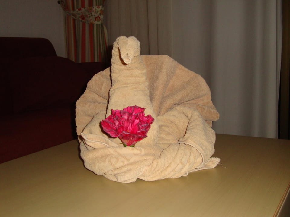 Schwan SBH Hotel Taro Beach