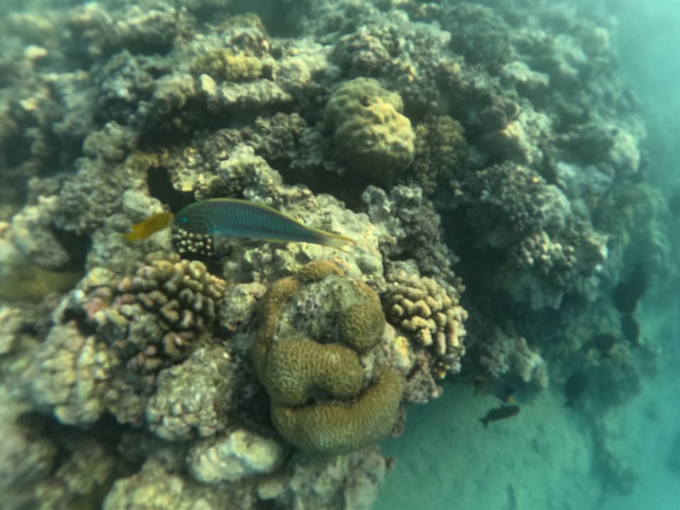 Sport & Freizeit Stella Beach Resort & Spa Makadi Bay