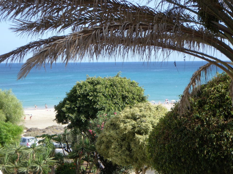Foto von der Dachterrasse Bahia Calma Beach