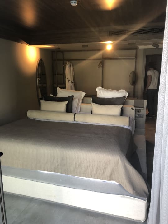 Zimmer Paloma Finesse