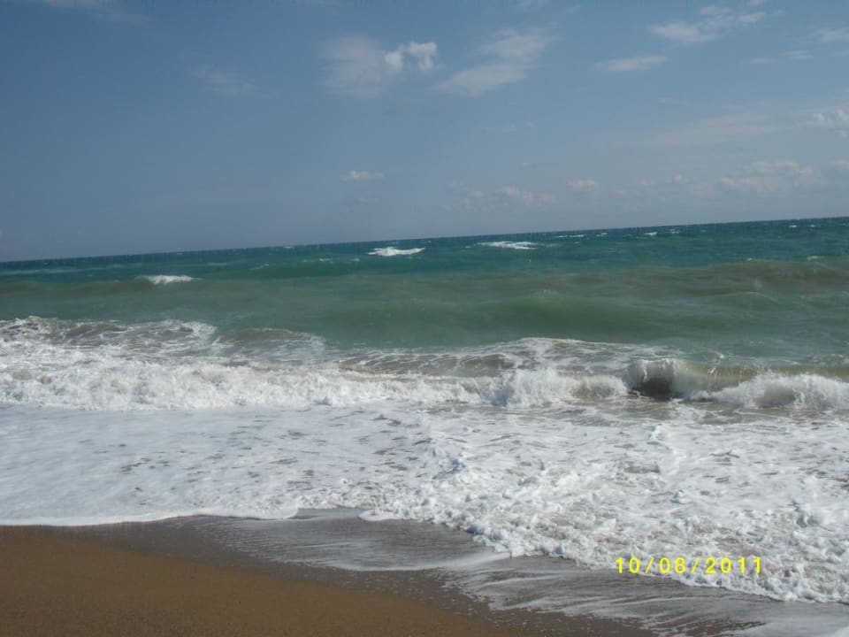 Wellengang Asteria Collection Side