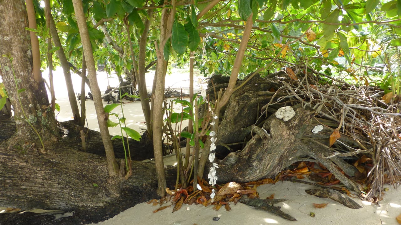 Außenansicht Kantary Beach Hotel - KHAO LAK