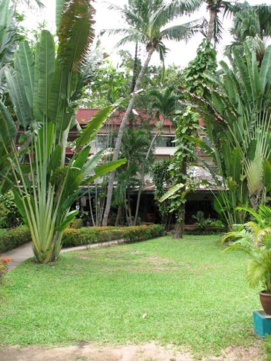 Garten. Basaya Beach Hotel & Resort