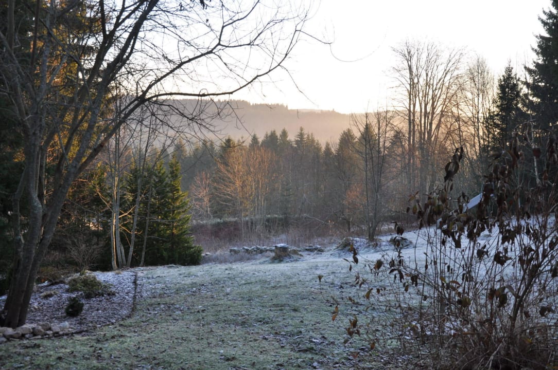 Aussicht von Terrasse Hotel Tannhof
