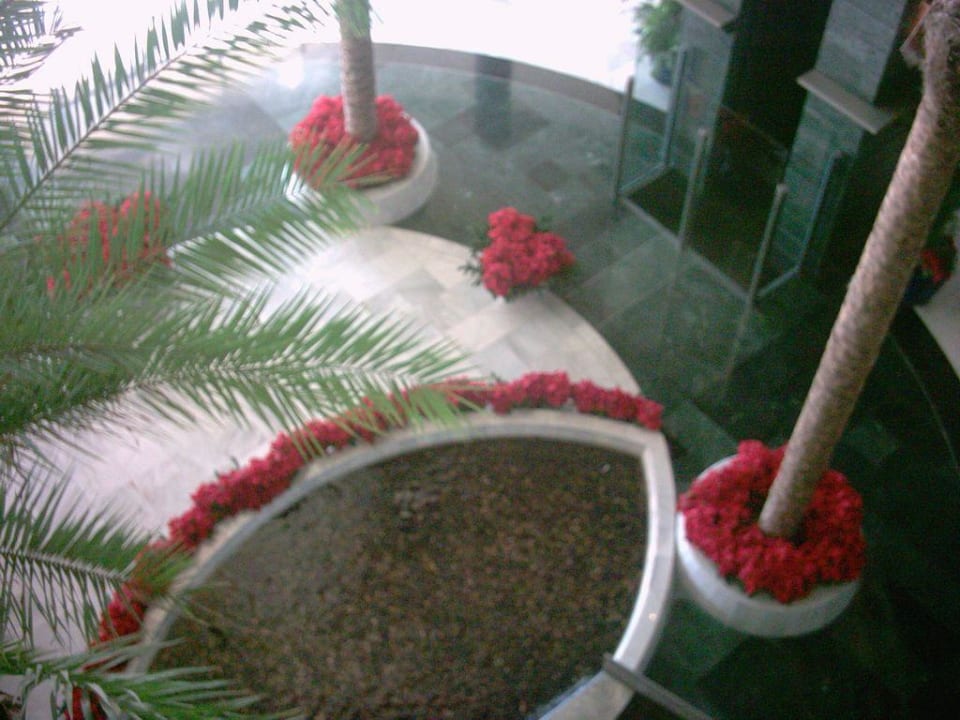 Hotelhalle im Dezember R2 Pajara Beach