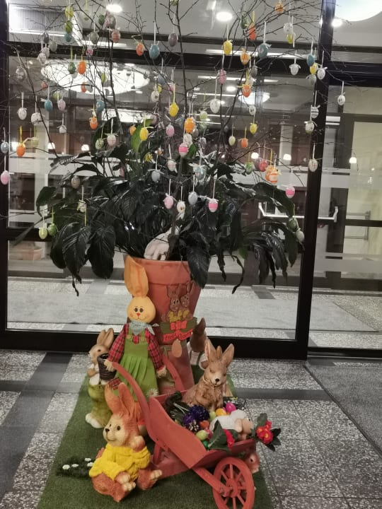 Sonstiges AHORN Berghotel Friedrichroda