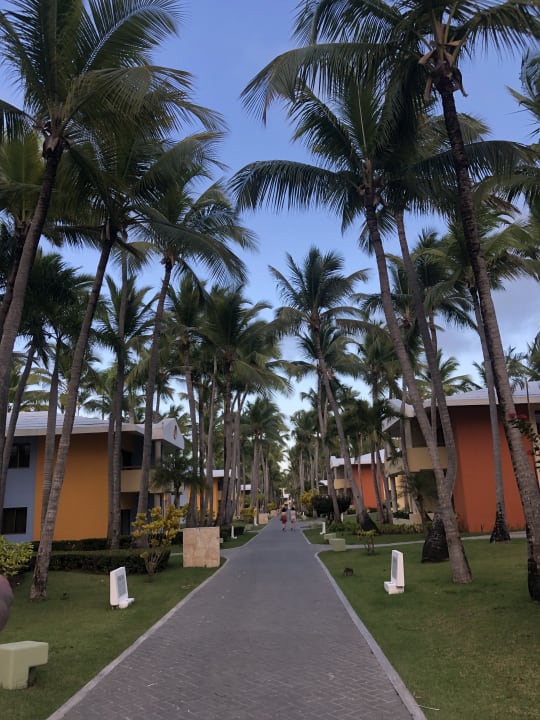 Gartenanlage Iberostar Selection Coral Bávaro