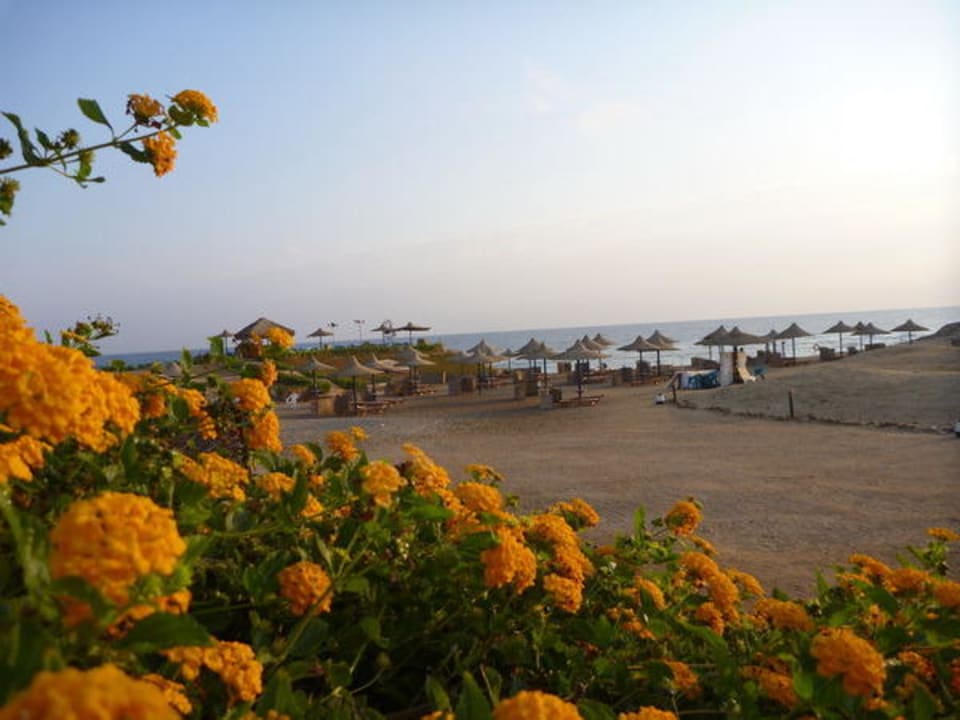 Blick auf den Strand Hotel Carnelia Beach Resort