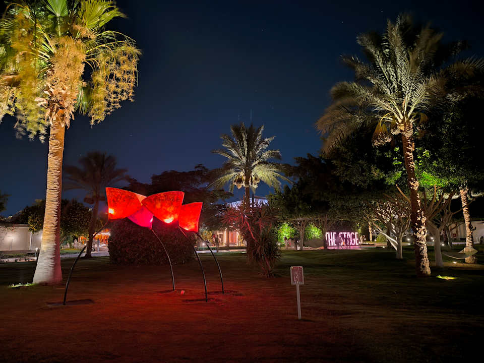 Gartenanlage Desert Rose