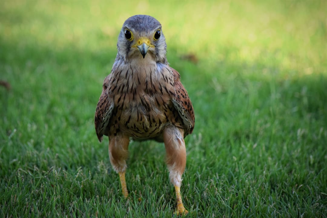 Sonstiges Makadi Spa - Adults only