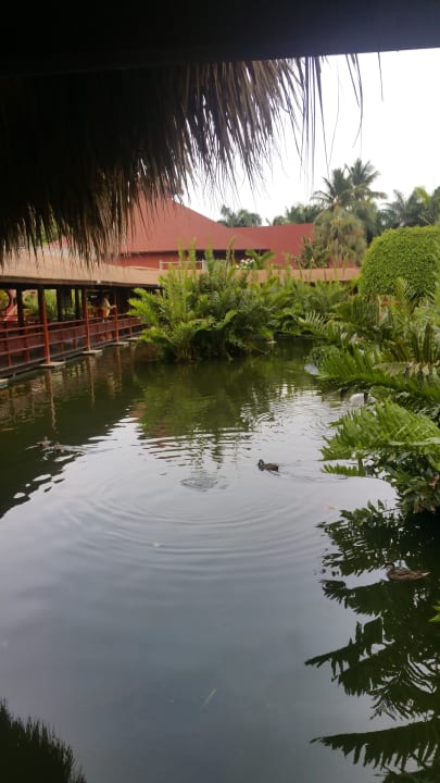 Restaurant Grand Palladium Punta Cana Resort & Spa