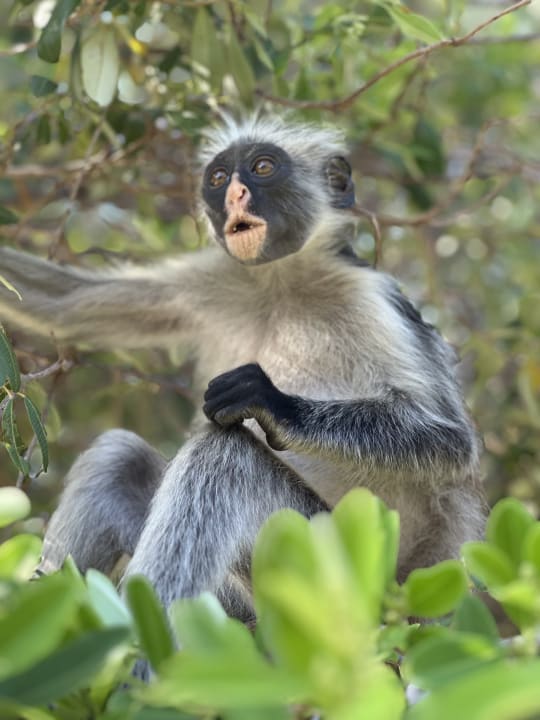 Gartenanlage Reef & Beach Resort