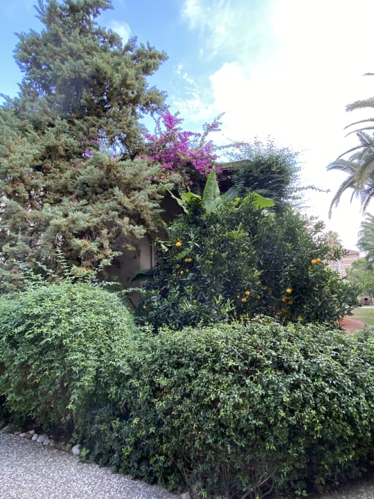 Gartenanlage Paloma Oceana