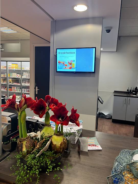 Sonstiges Roompot Marinapark Volendam