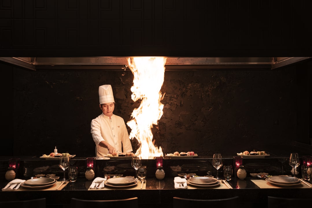 Gastro Papillon Ayscha