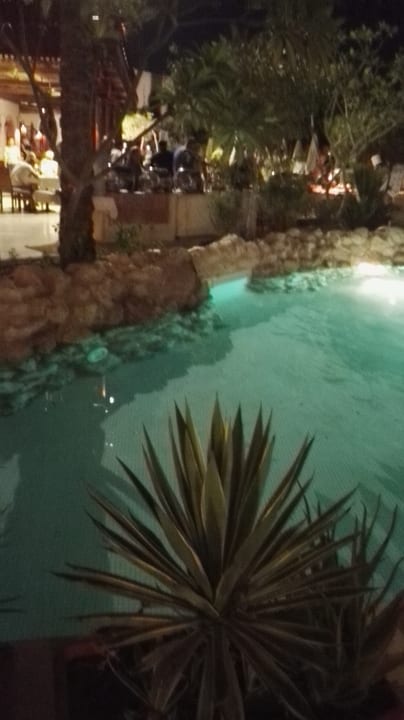 Pool Ghazala Gardens