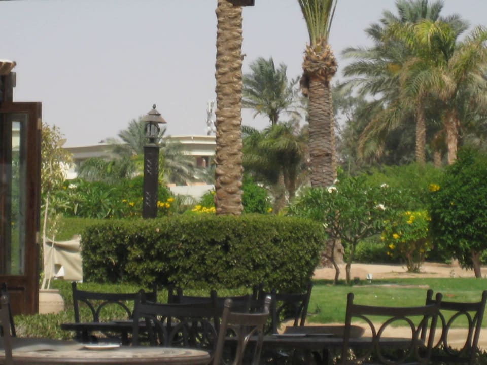 Gärtner haben alles im Griff Steigenberger ALDAU Beach Hotel