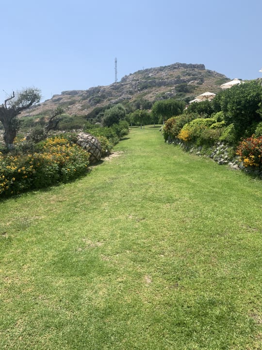 Gartenanlage Hotel Kalithea Horizon Royal