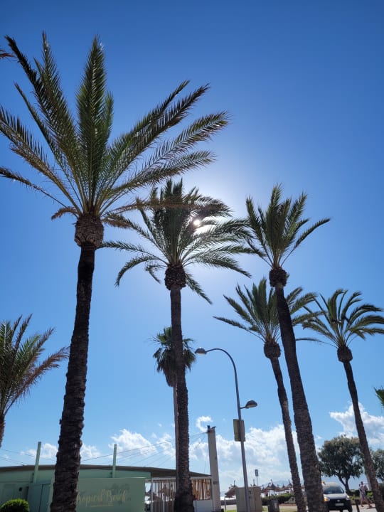 Sonstiges Grupotel Acapulco Playa - Adults Only