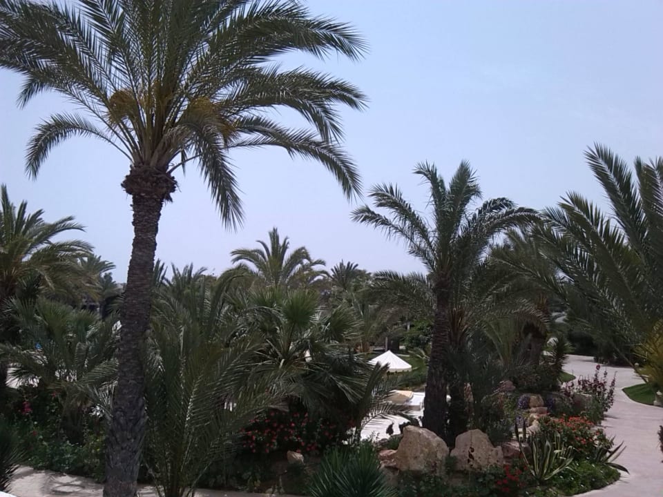 Gartenanlage Hotel Djerba Resort