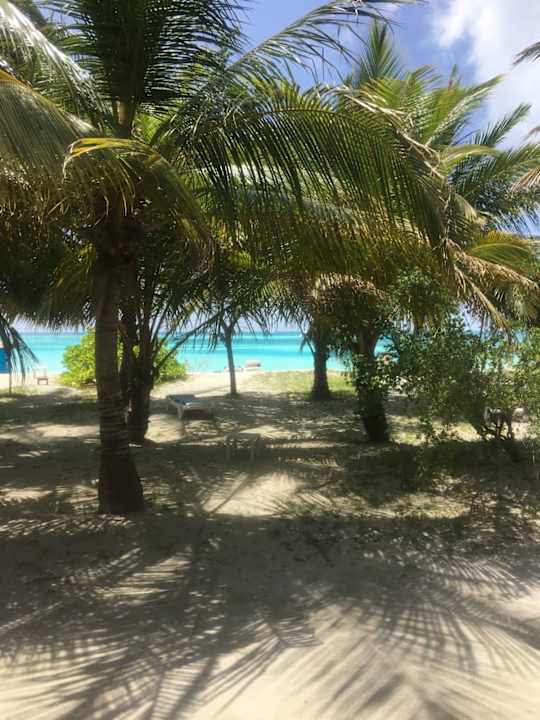Strand Meeru Maldives Resort Island