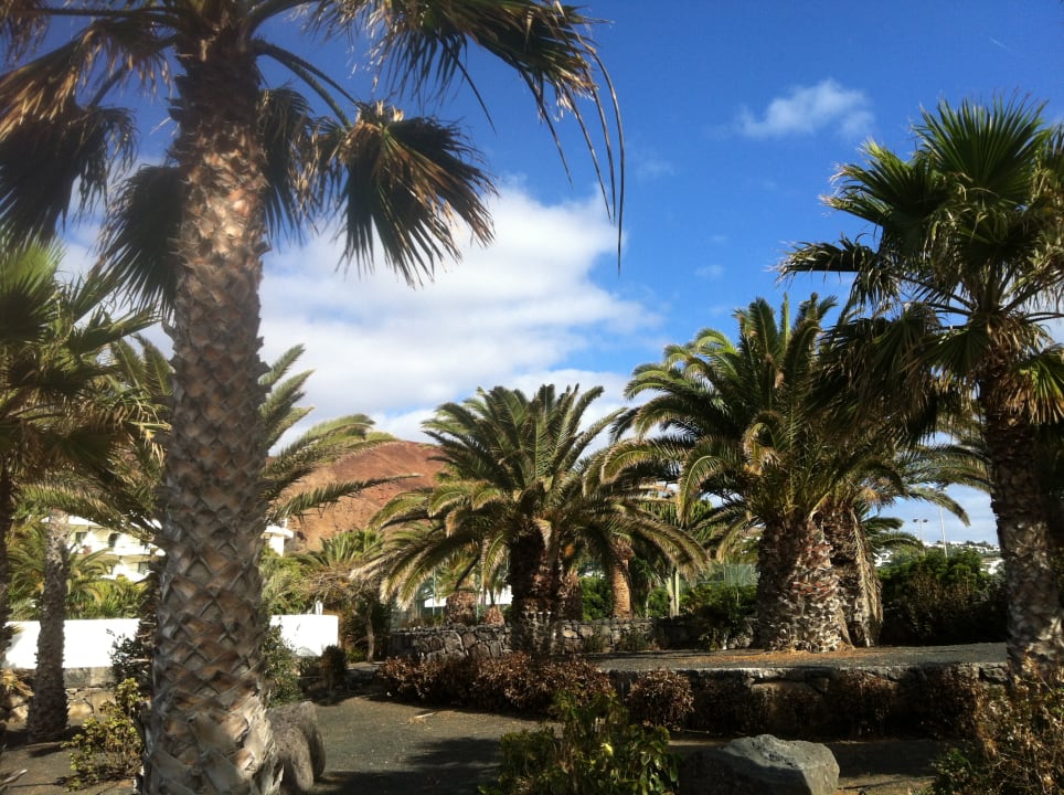 Außenansicht Iberostar Selection Lanzarote Park