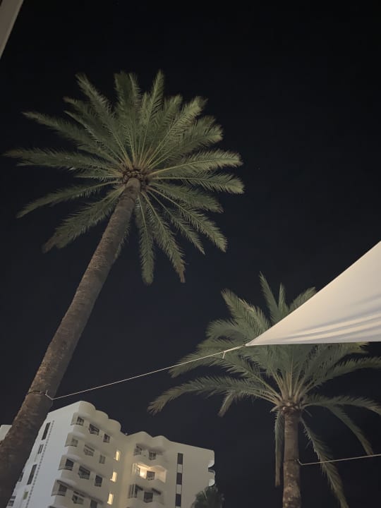 Sonstiges allsun Hotel Bahia del Este